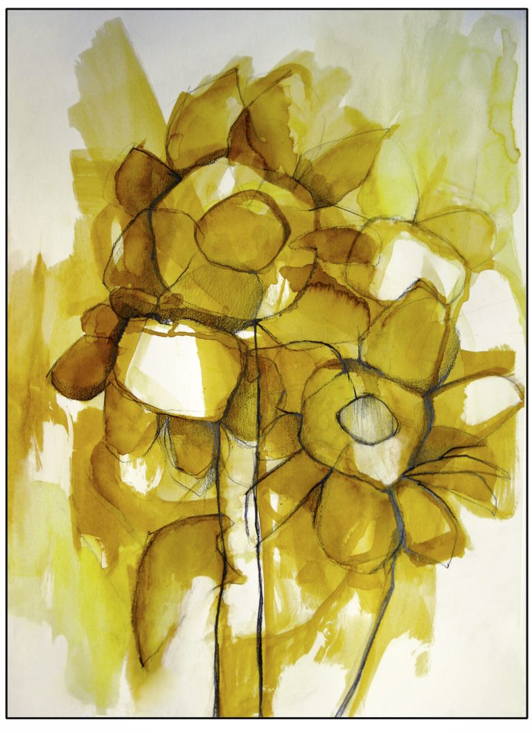 "Girasoles"· Grafito, acuarela y tinta sobre papel. 50 x 40 cm. Obra de Nuria Giles