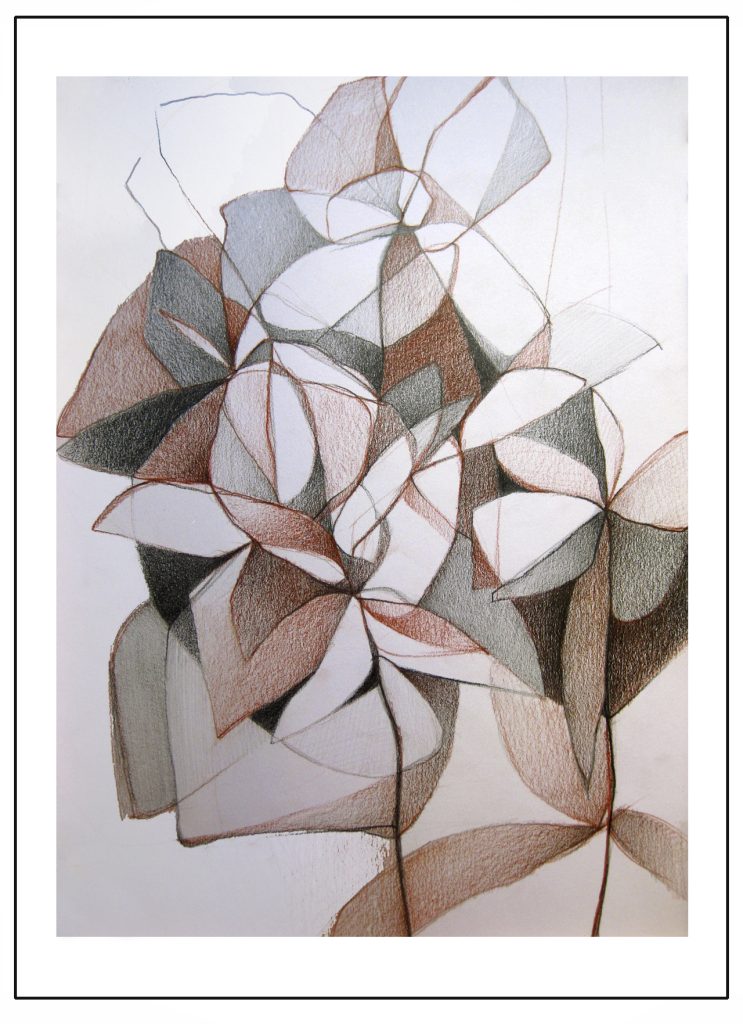 "Bosque lineal III". Grafito sobre papel. Obra de Nuria Giles