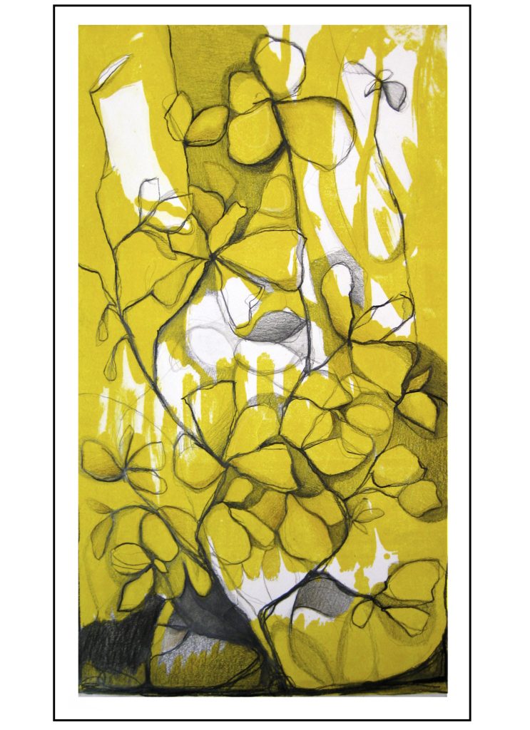 "Malla solar". Grafito y litografía sobre papel Super Alfa. Obra de Nuria Giles